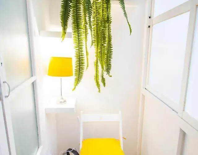 Sh Casa Buda. Gran En El Centro. * Cadix