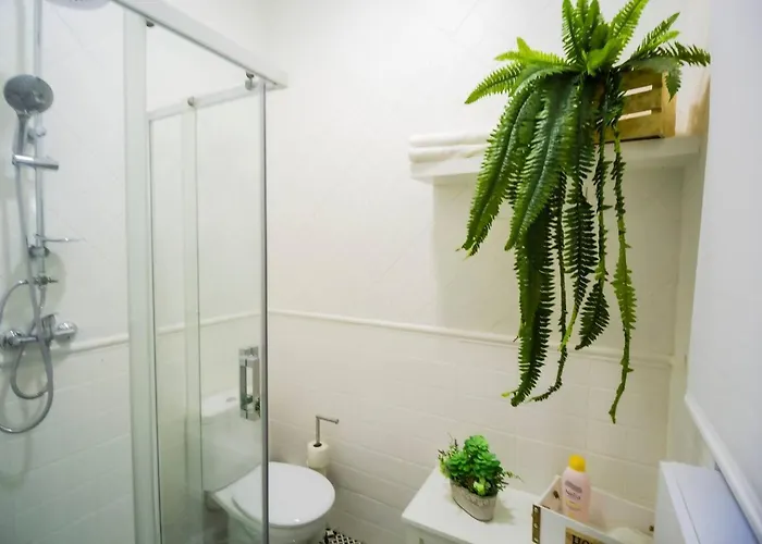 Sh Casa Buda. Gran En El Centro. Cadiz